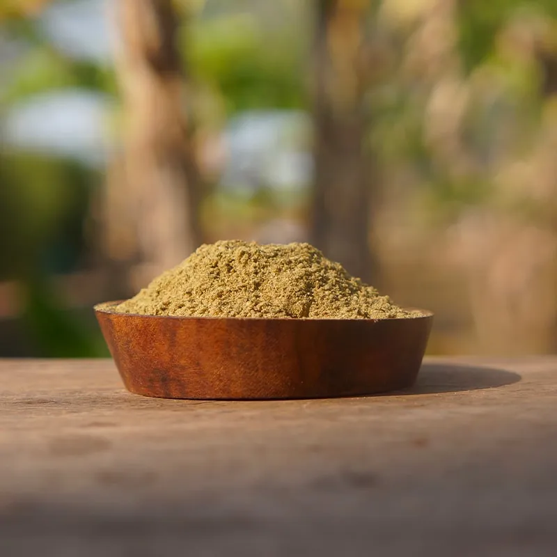 La Plantation Rub Poivre Vert mélange d'épices grillades