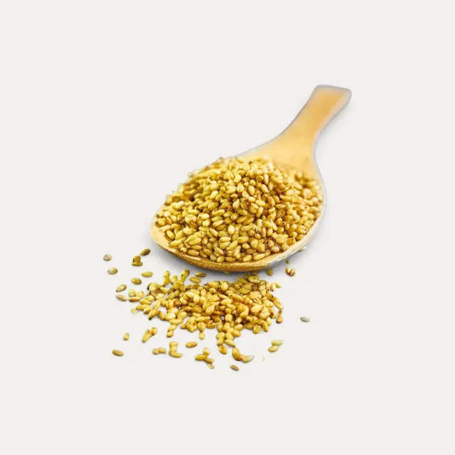 Nishikidori sésame grillé yuzu kosho 1 kg piquant