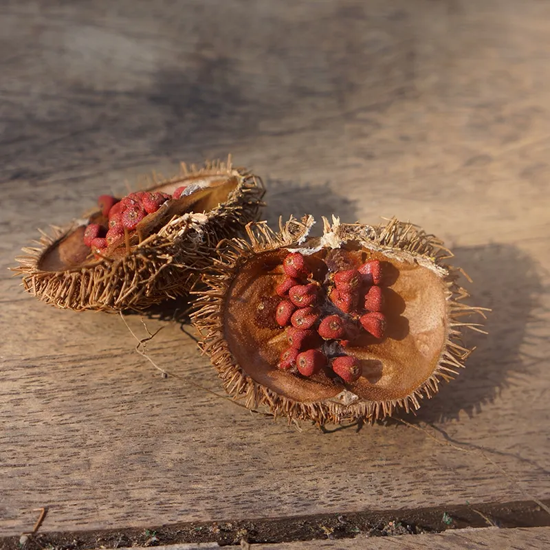 La Plantation Rocou graines aromatiques couleur