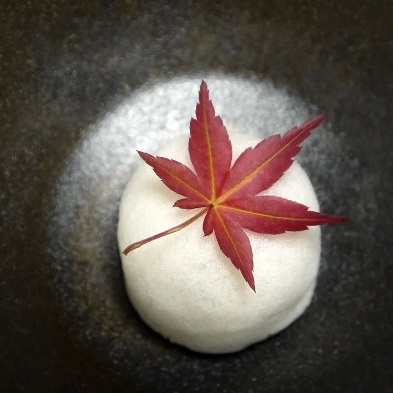 Nishikidori Momiji feuilles érable japonais séchées 20 pcs