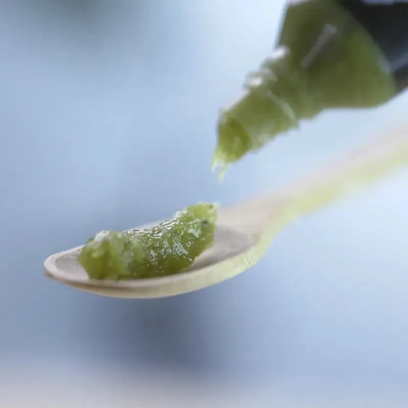 NISHIKIDORI Hon'Wasabi premium pâte 42 g fort