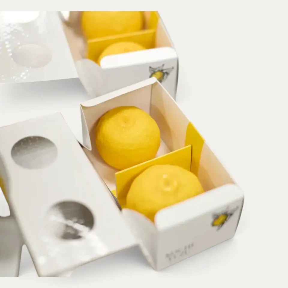 Nishikidori yuzu jaune frais 2 fruits 140g Kitagawamura