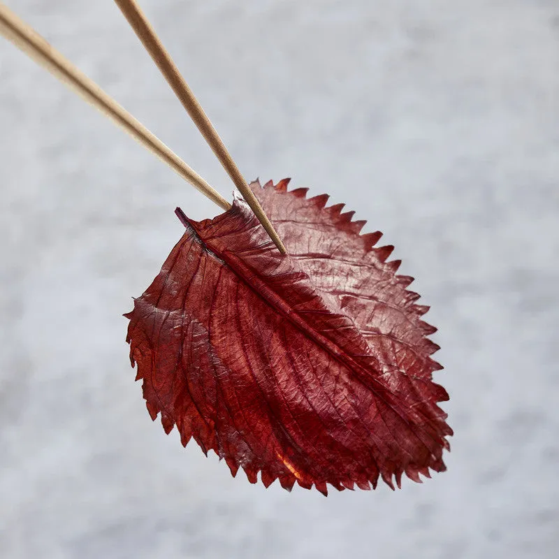 NISHIKIDORI Feuilles Shiso rouge 100 feuilles