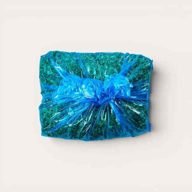 Nishikidori Isewan Aosanori algue flocons 30g premium