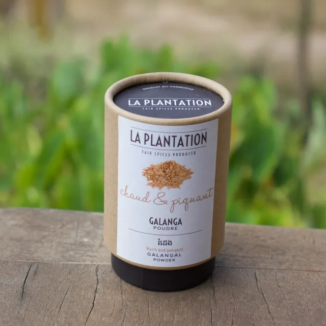 La Plantation Galanga en poudre racine citronnée