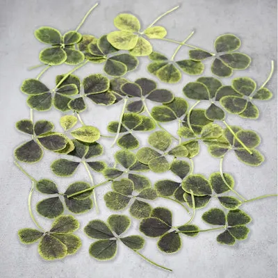 NISHIKIDORI Trèfle 4 feuilles fleur séchée décor