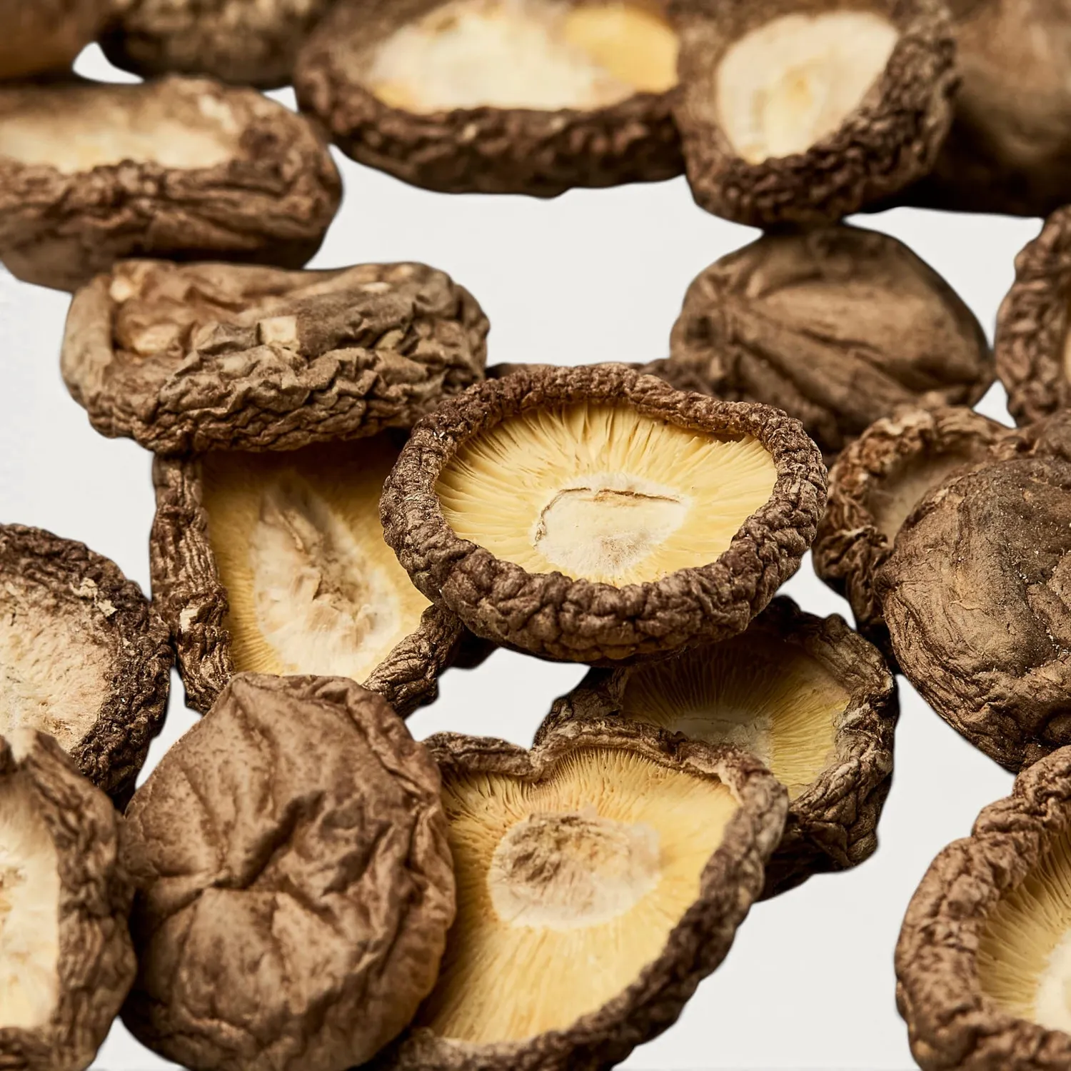NISHIKIDORI Shiitake sans pied 1-3 cm champignon 100 g