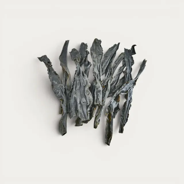 Nishikidori Hidaka Kombu algue 1kg Hokkaido