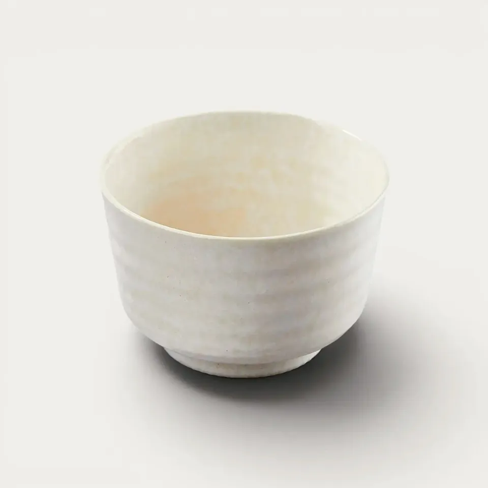 NISHIKIDORI Minogosai Kobiki bol donburi japonais