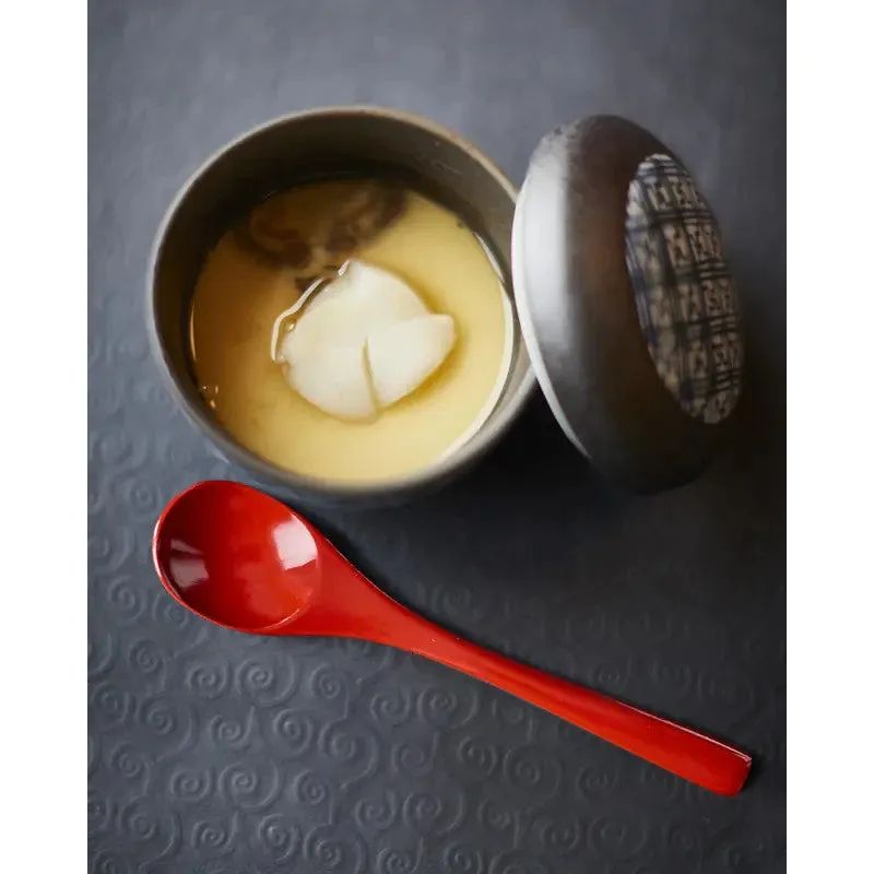 NISHIKIDORI Cuillère bois camphrier chawanmushi 13cm noire