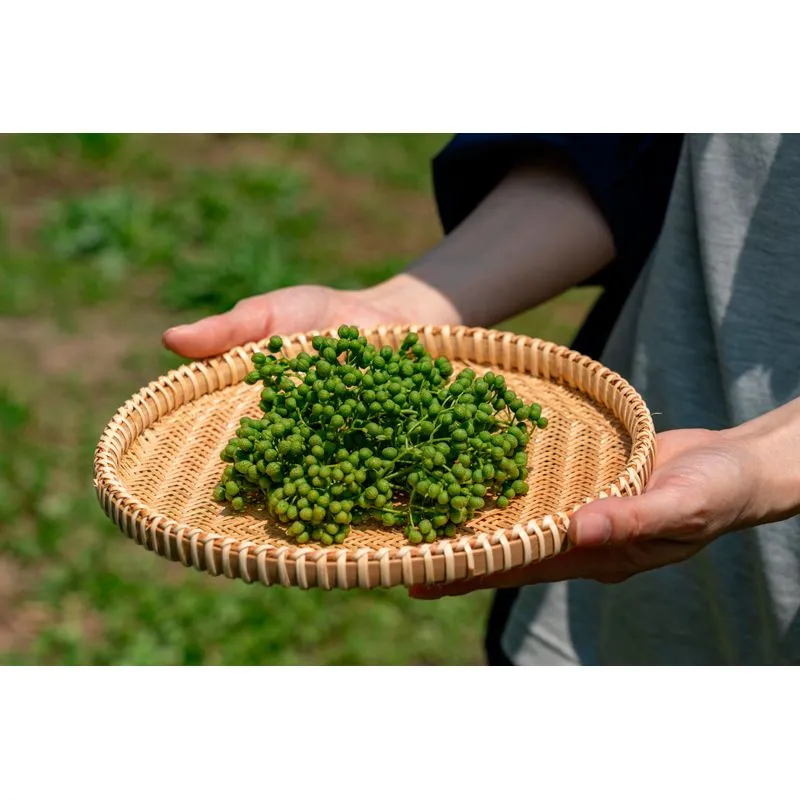 Nishikidori baies de sansho saumurees 50 g fruite