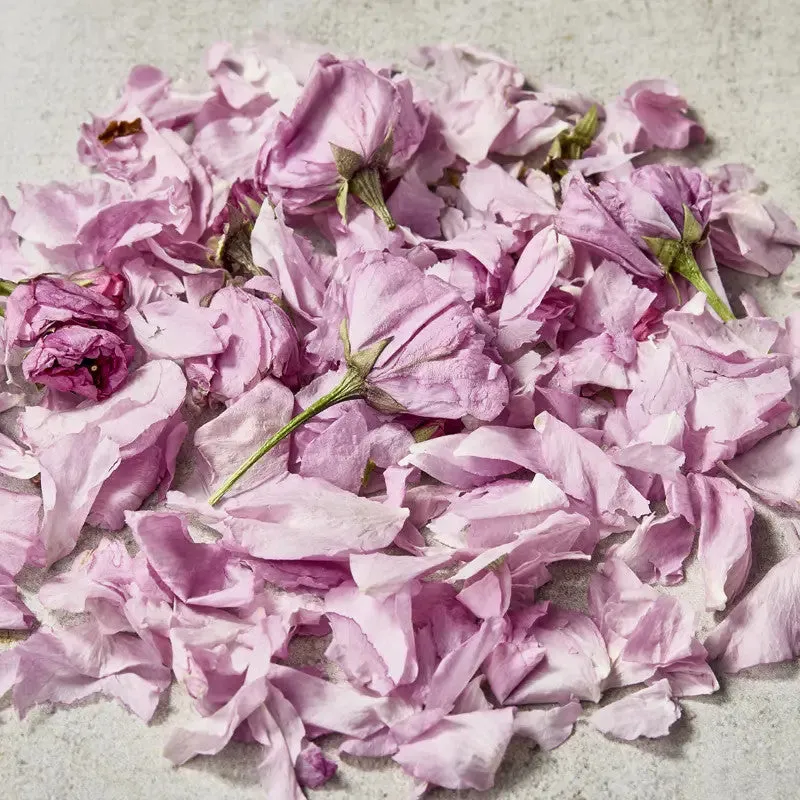 Nishikidori Sakura pétales fleurs cerisier 1,5g