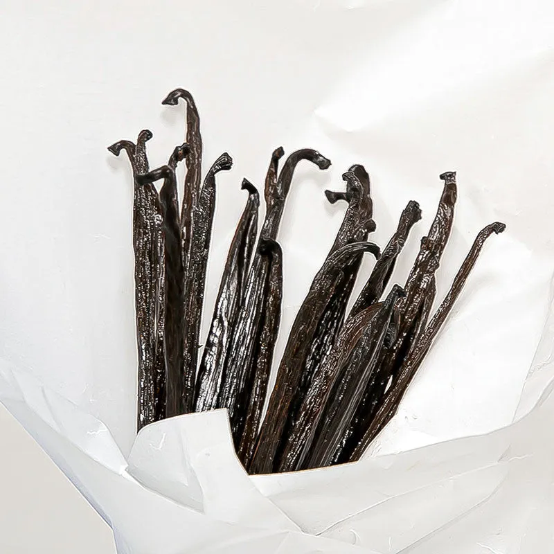 Nishikidori Vanille gourmet Planifolia tube 4 gousses