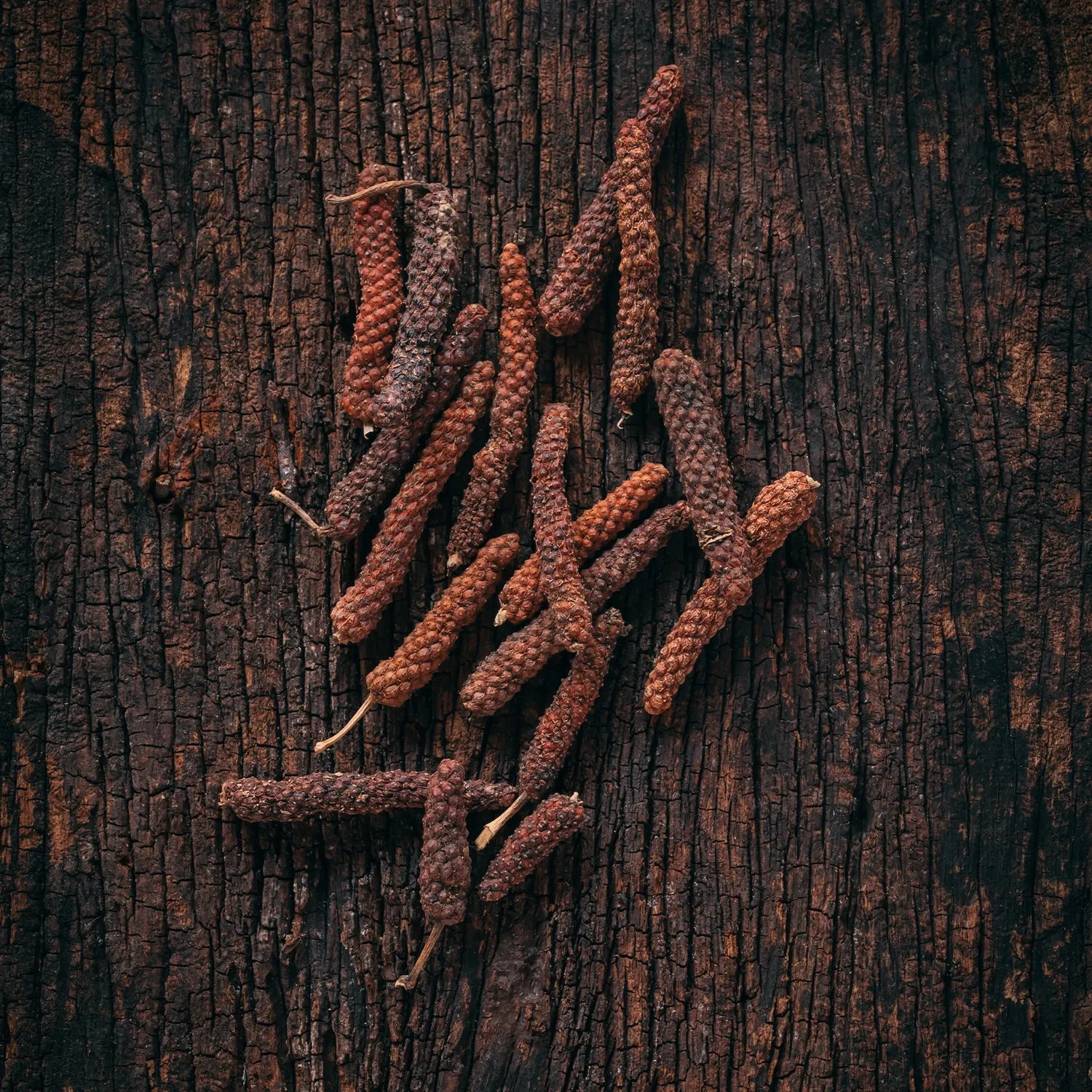 La Plantation poivre long rouge en poudre force douce