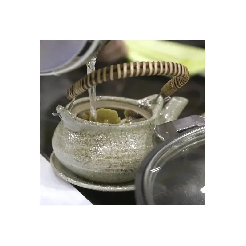 NISHIKIDORI service dobin mushi théière soupe vapeur