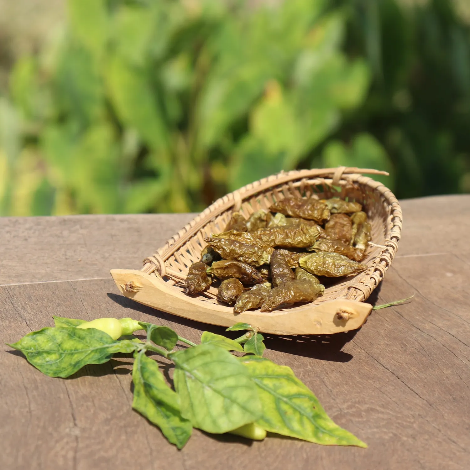 La Plantation Piment Oiseau Vert piment entier fort