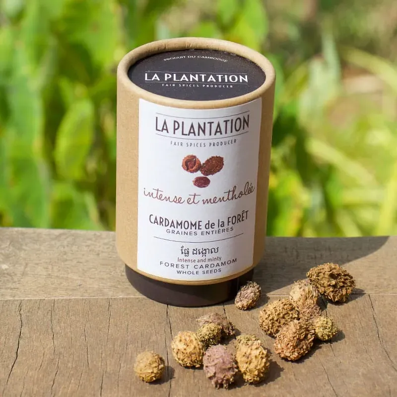 La Plantation Cardamome de la Forêt gousses