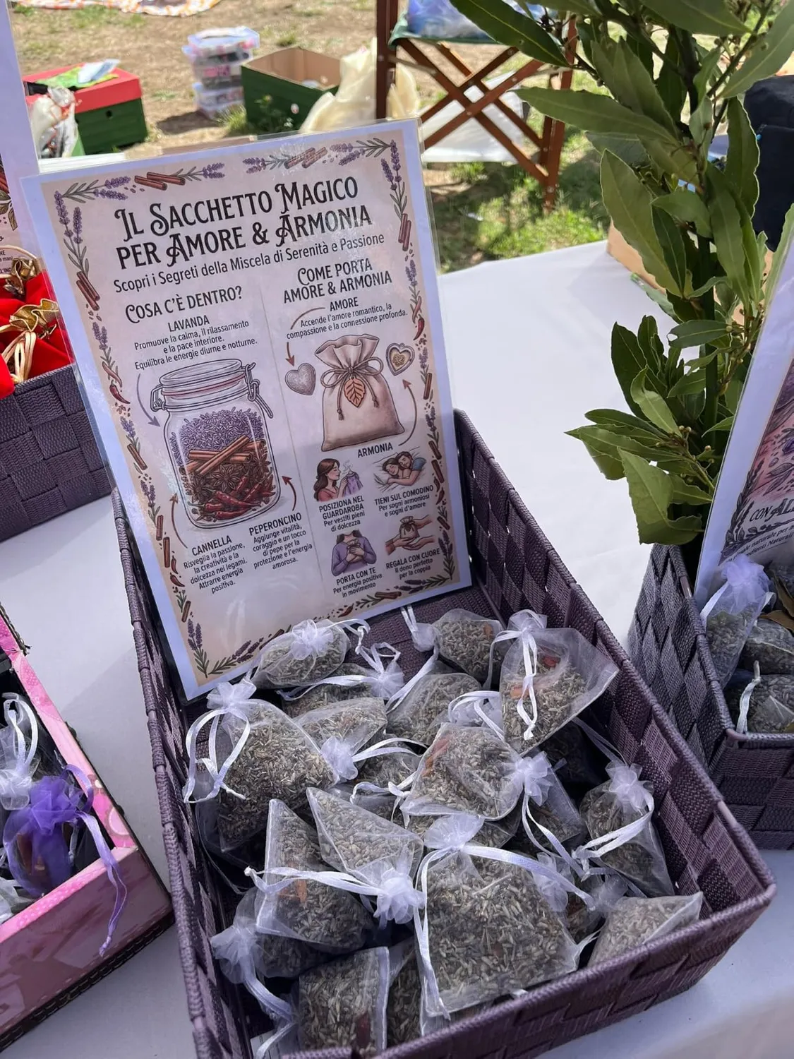 Hestia Herbs Lavande bourgeons alimentaires 500 g naturel
