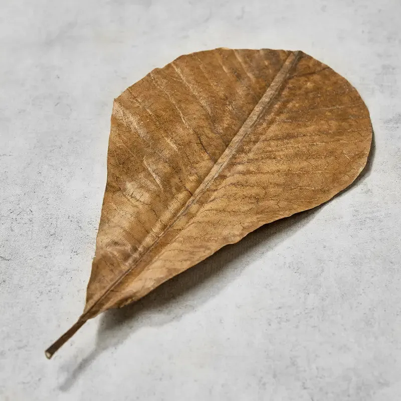 NISHIKIDORI Feuilles de Magnolia séchées 10 pièces