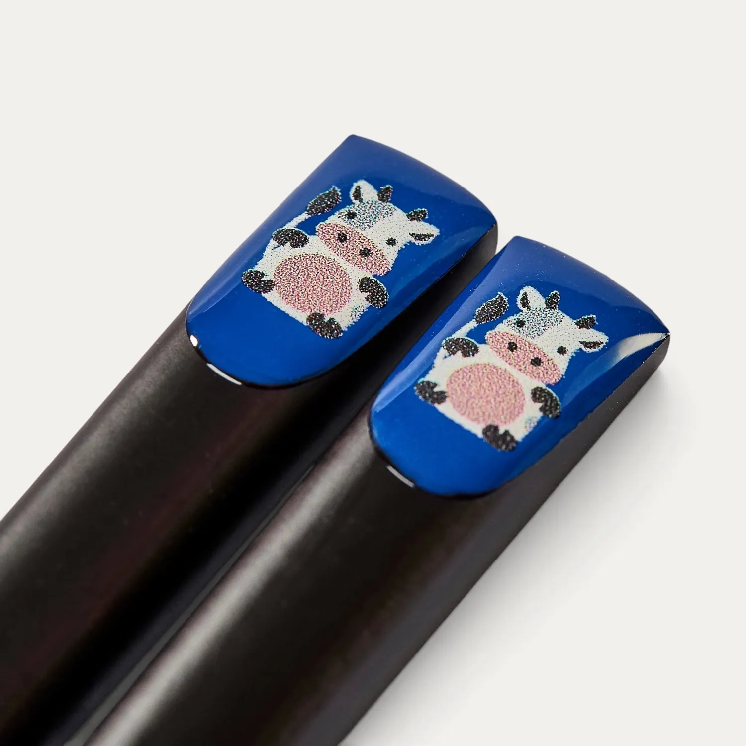 Nishikidori baguettes bois signe zodiaque la paire