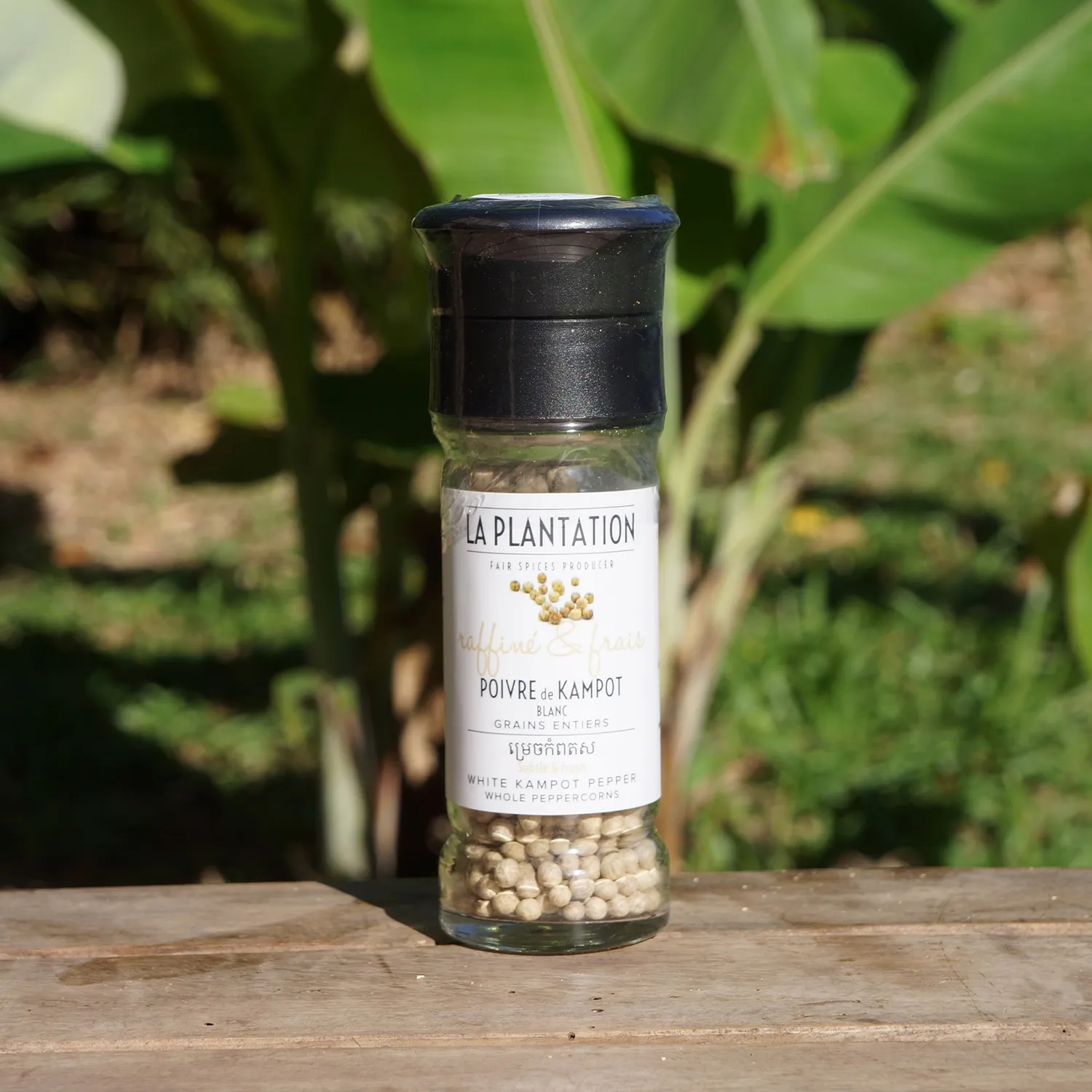 La Plantation Poivre de Kampot Blanc IGP en grains