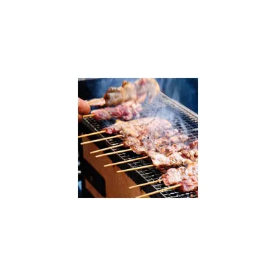 Nishikidori Konro BQ12 barbecue table diatomée