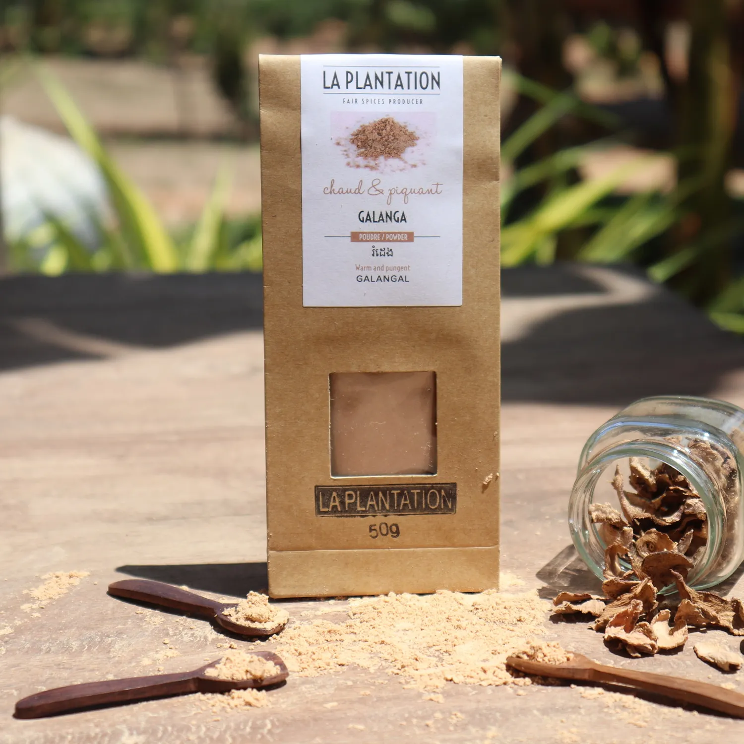 La Plantation Galanga en poudre racine citronnée