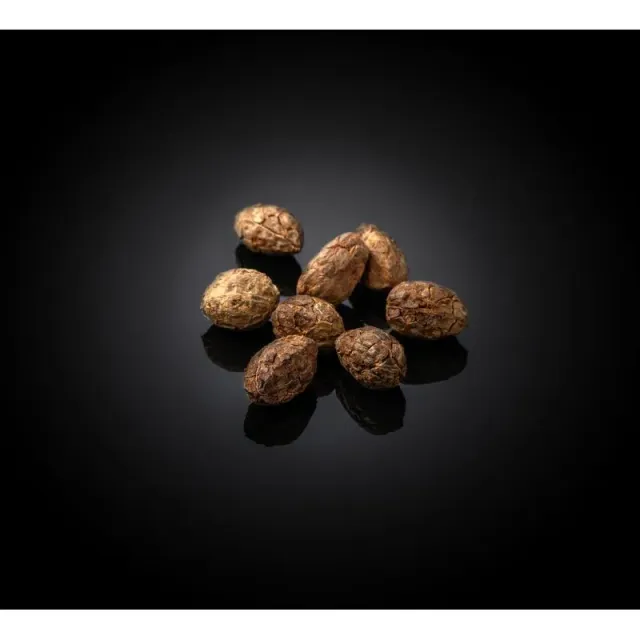 NISHIKIDORI Cardamome noire épice 500 g Vietnam