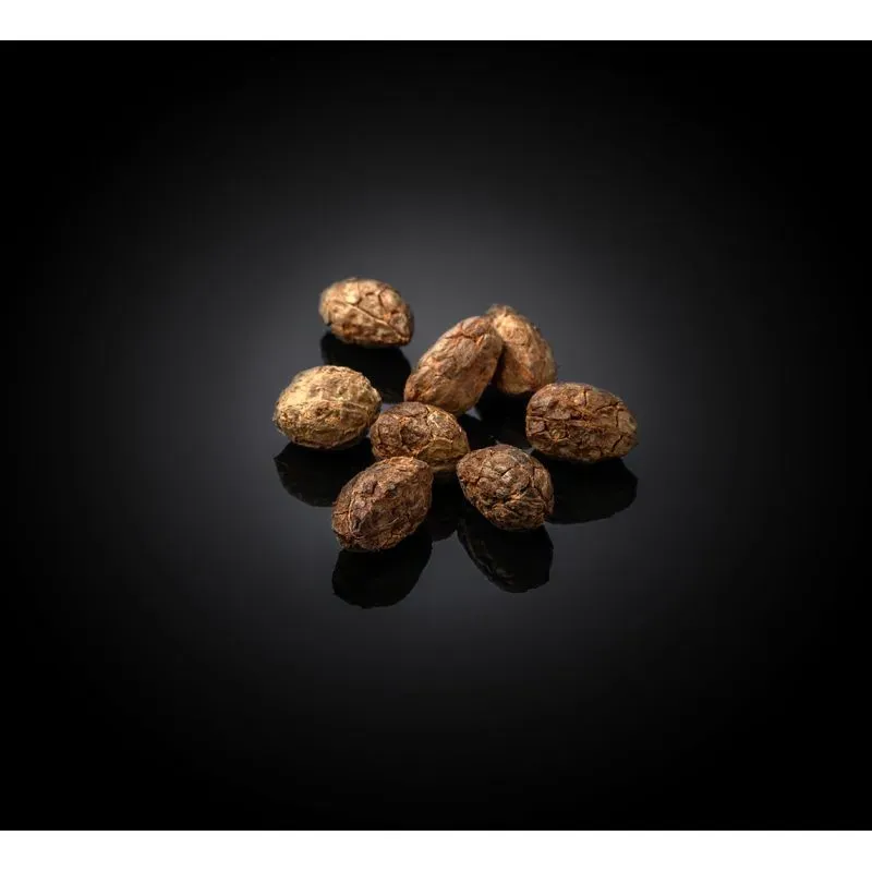 NISHIKIDORI Cardamome noire épice 500 g Vietnam