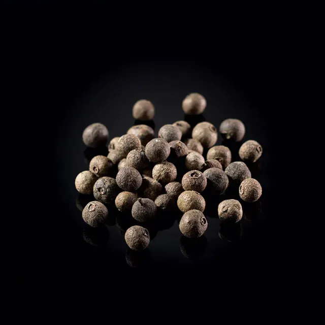 NISHIKIDORI Baies de Jamaïque épice boîte 60 g toutes-épices