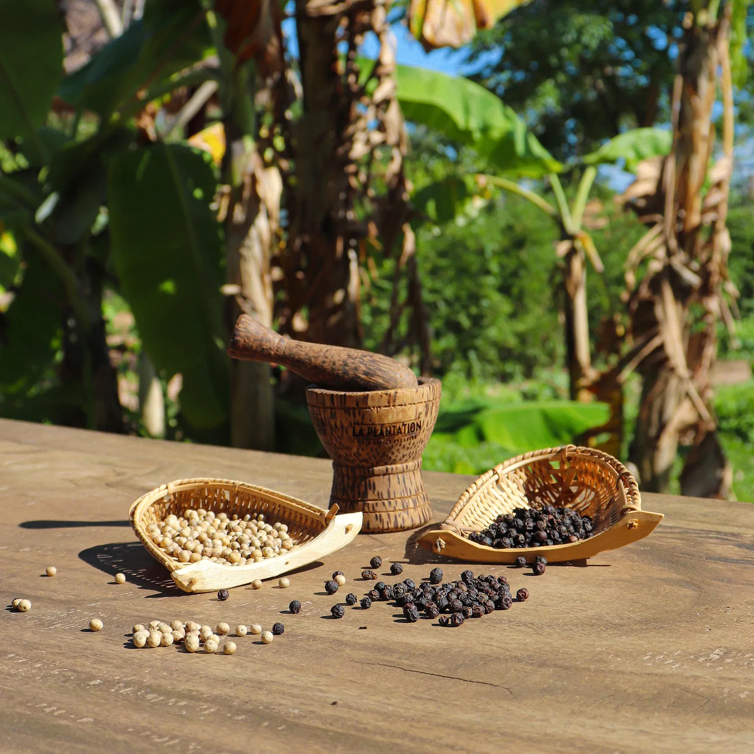 La Plantation Mortier à poivre et épices pierre