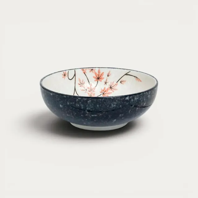 Nishikidori Assiette à sashimi porcelaine Japon