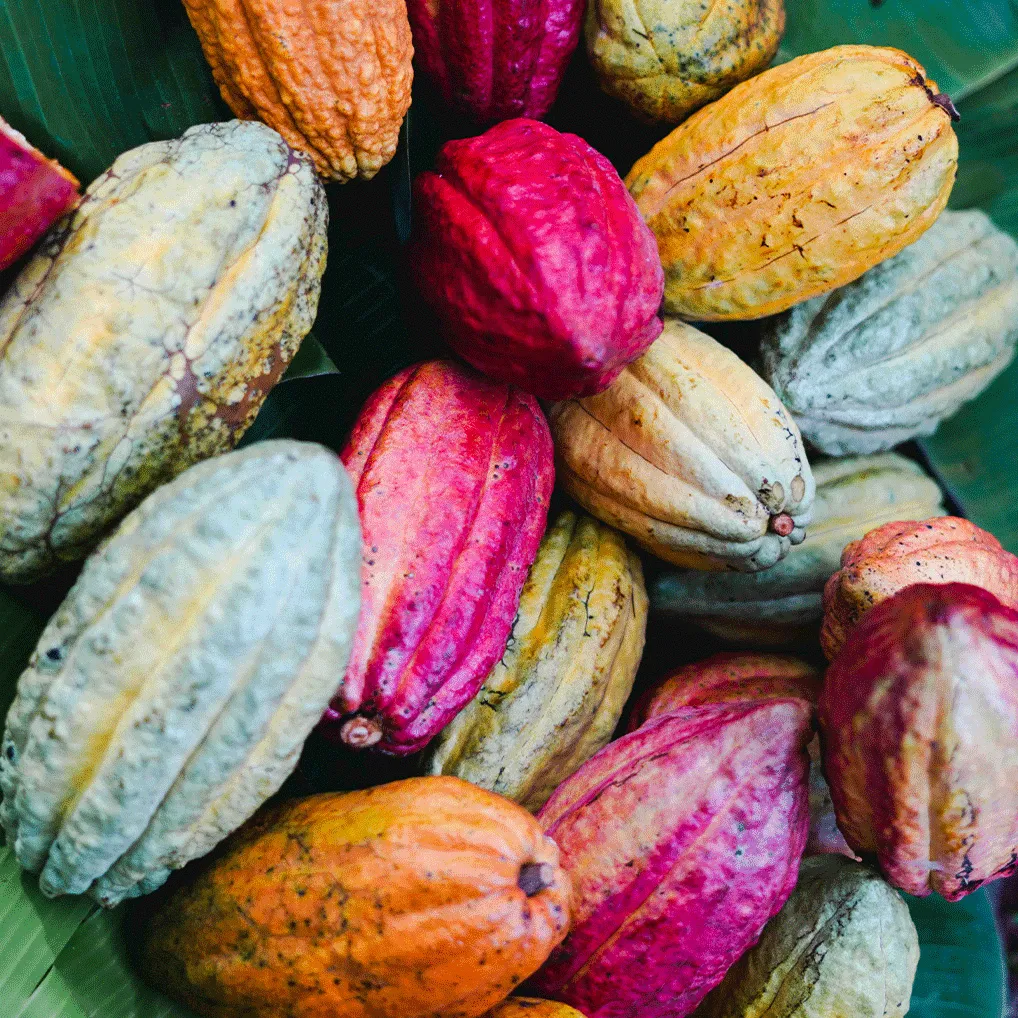 La Plantation Coffret Cacao & Douceurs coffret gourmand cacao