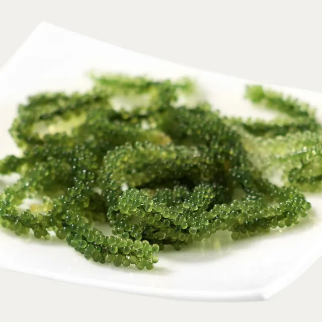 NISHIKIDORI Umibudo raisins mer Okinawa 100g frais