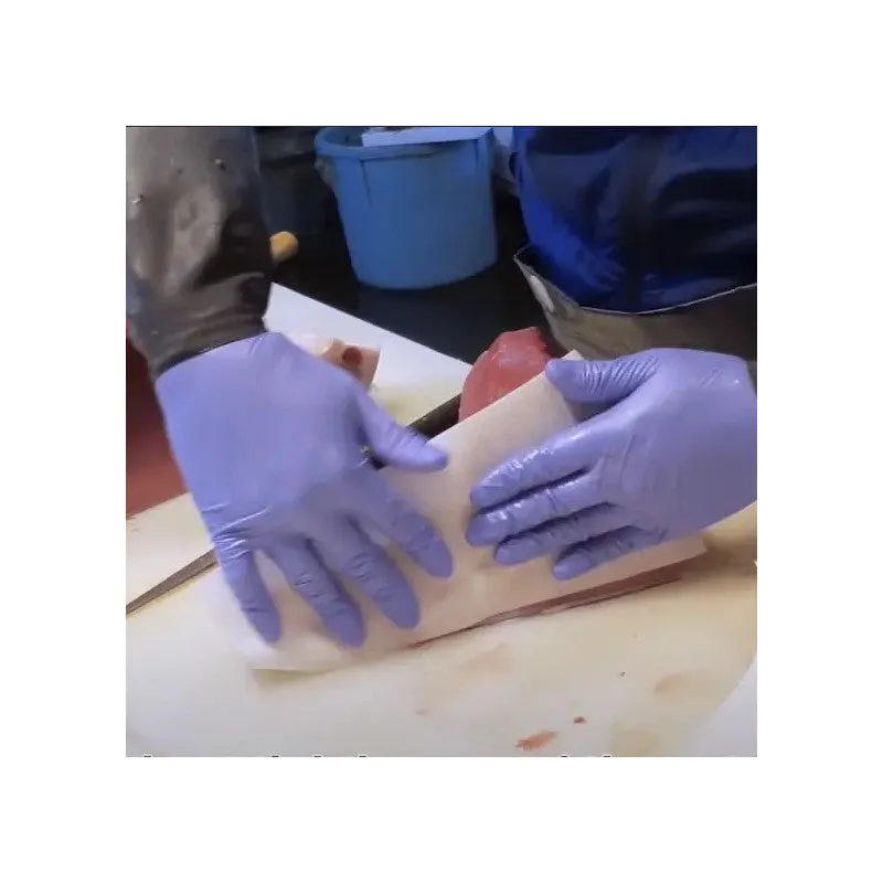 NISHIKIDORI papier buvard poisson et viande 10 pièces absorbant