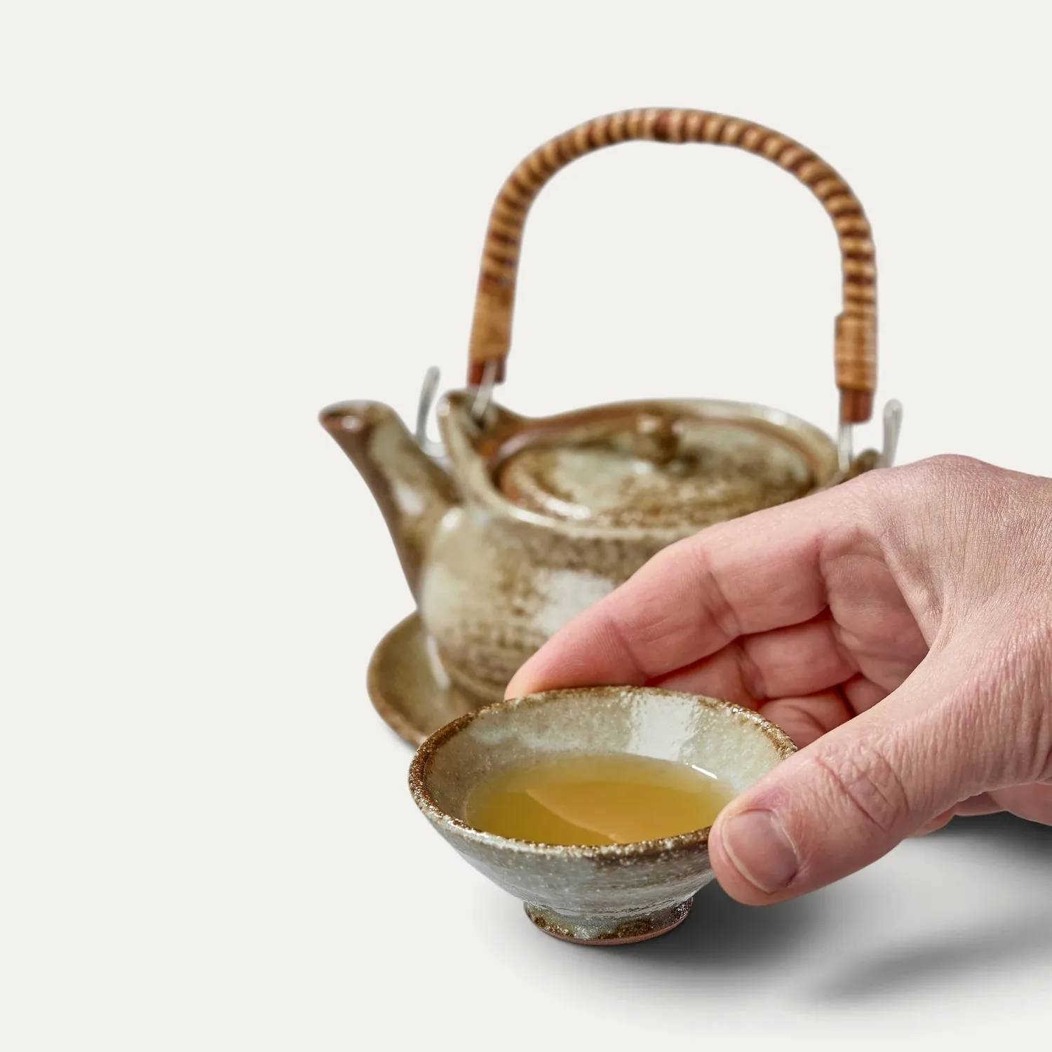 NISHIKIDORI service dobin mushi théière soupe vapeur