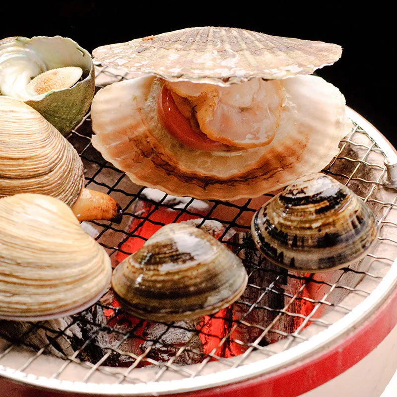 Nishikidori Shichirin M barbecue de table