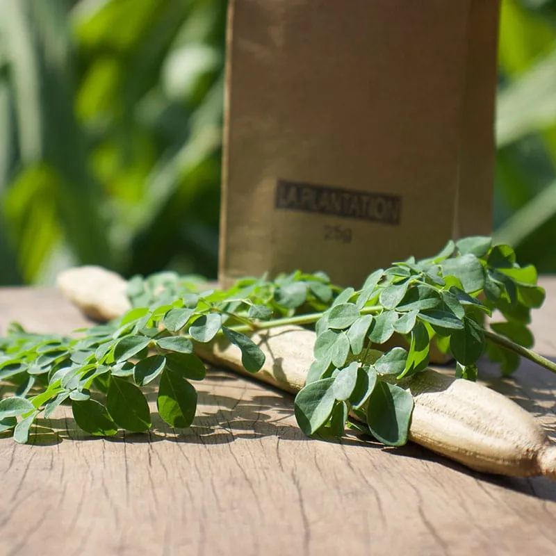 La Plantation feuilles de moringa tisane verte