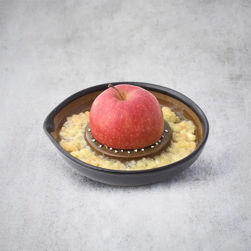 Nishikidori Suri Motoshige râpe assiette noire M
