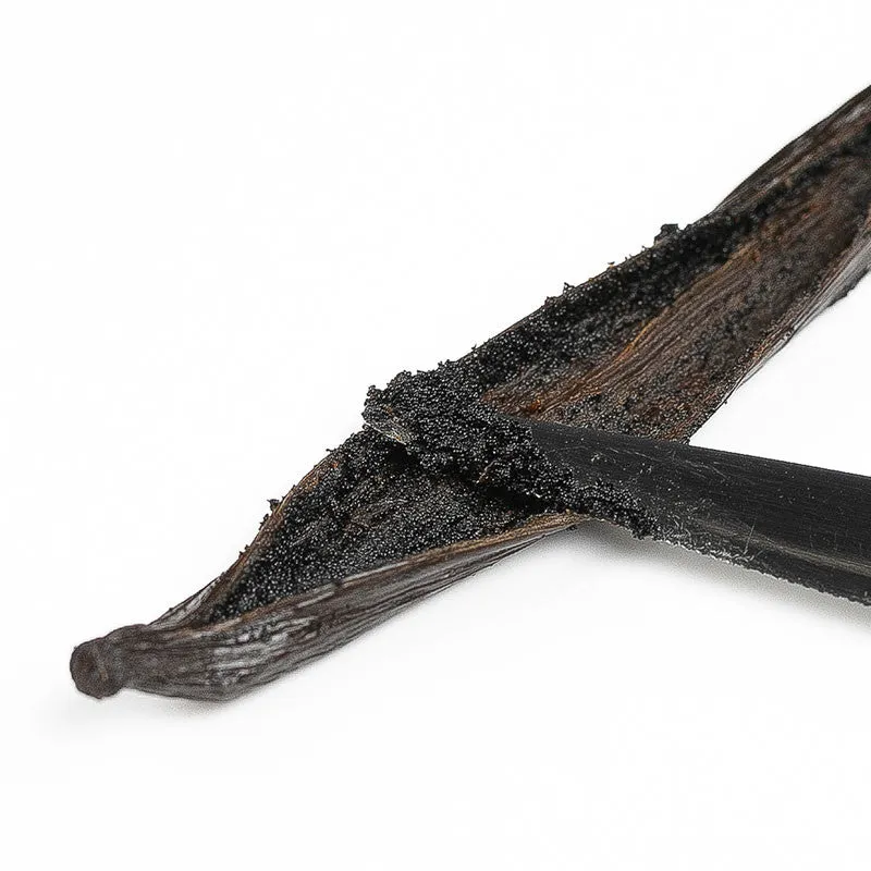 Nishikidori Vanille Tahitensis gousse 13-15 cm 4 pièces