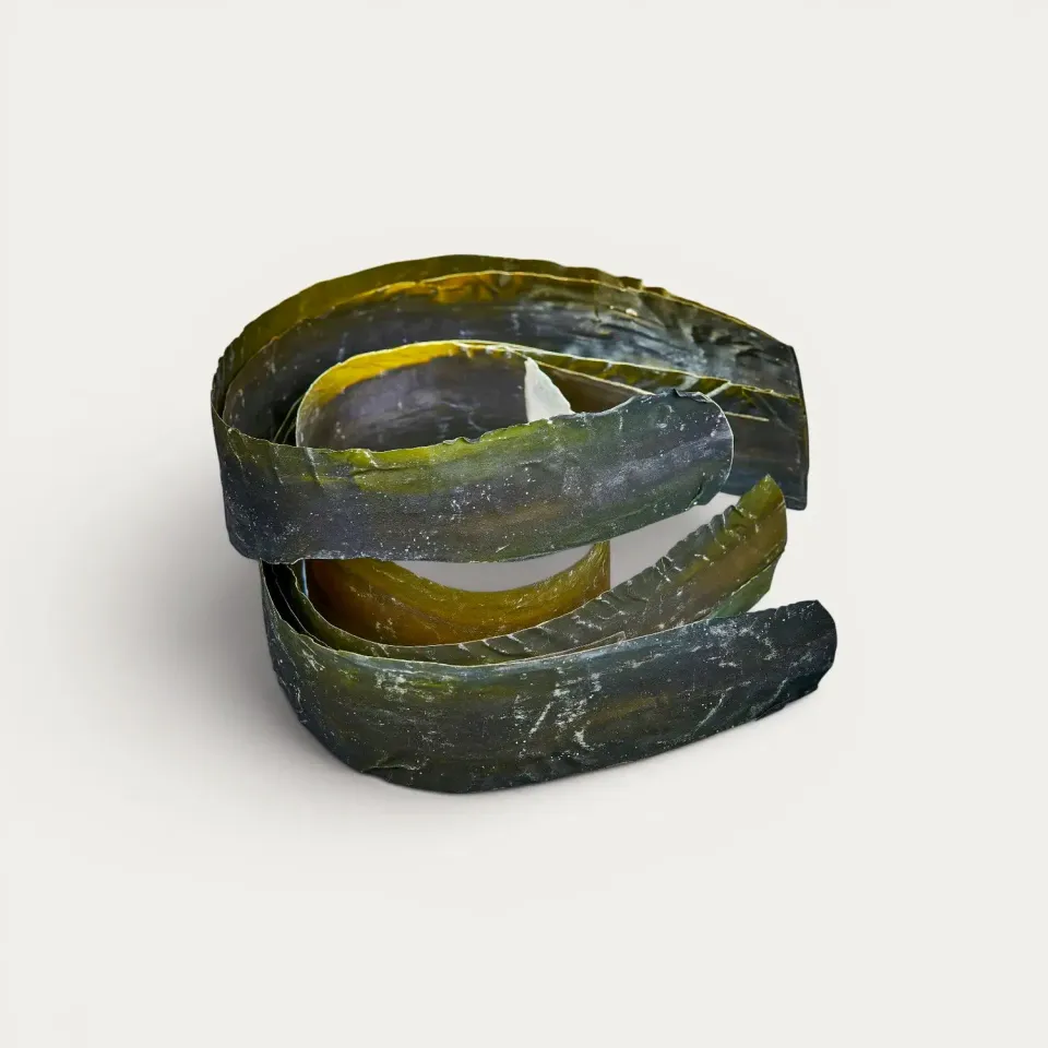 Nishikidori Rausu Kombu sauvage algue 1 kg