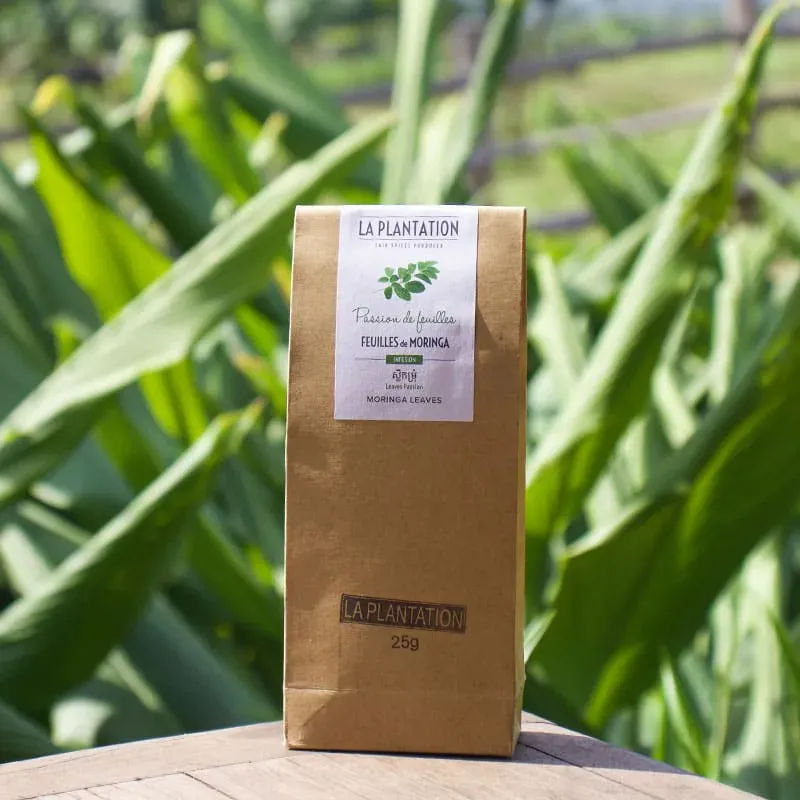 La Plantation feuilles de moringa tisane verte