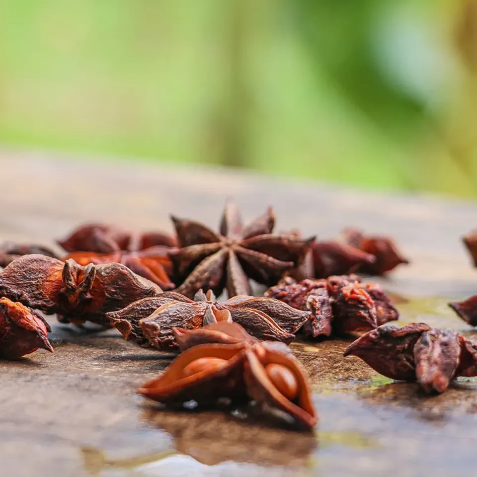 La Plantation Badiane anis étoilé aromatique entier