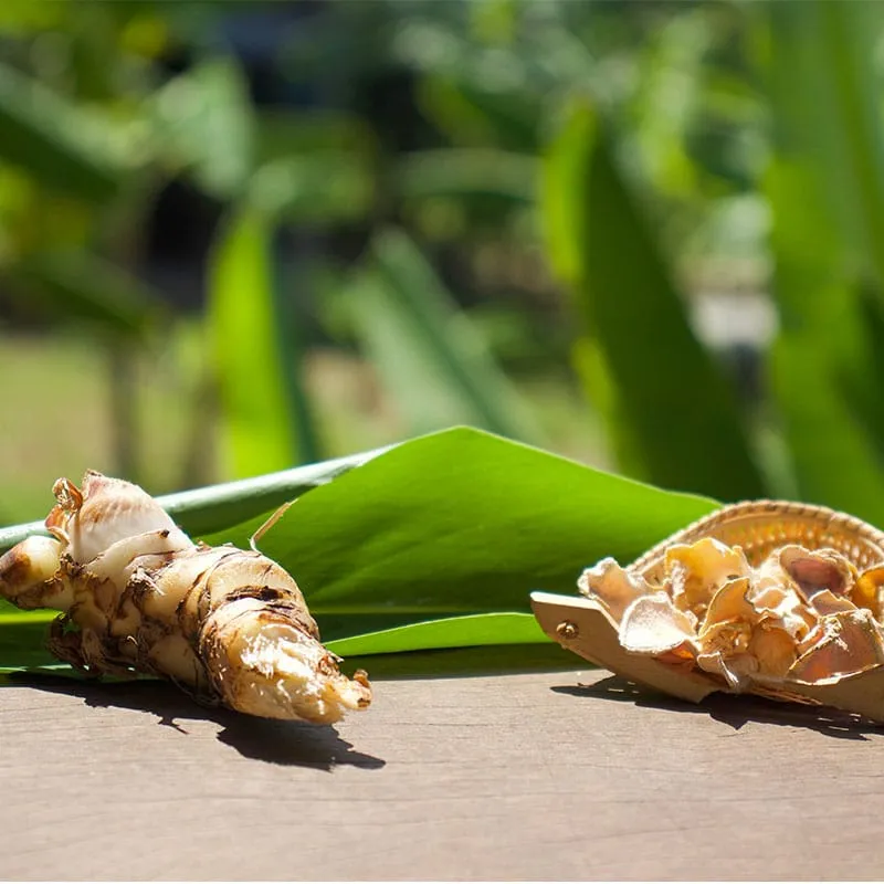 La Plantation Pétales de Galanga Tisane Séchée Douce