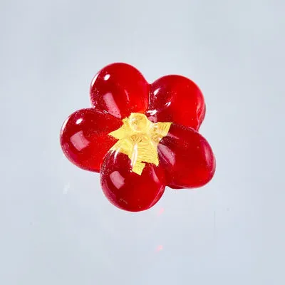 NISHIKIDORI Engimono Lucky Charm amulette prunier rouge