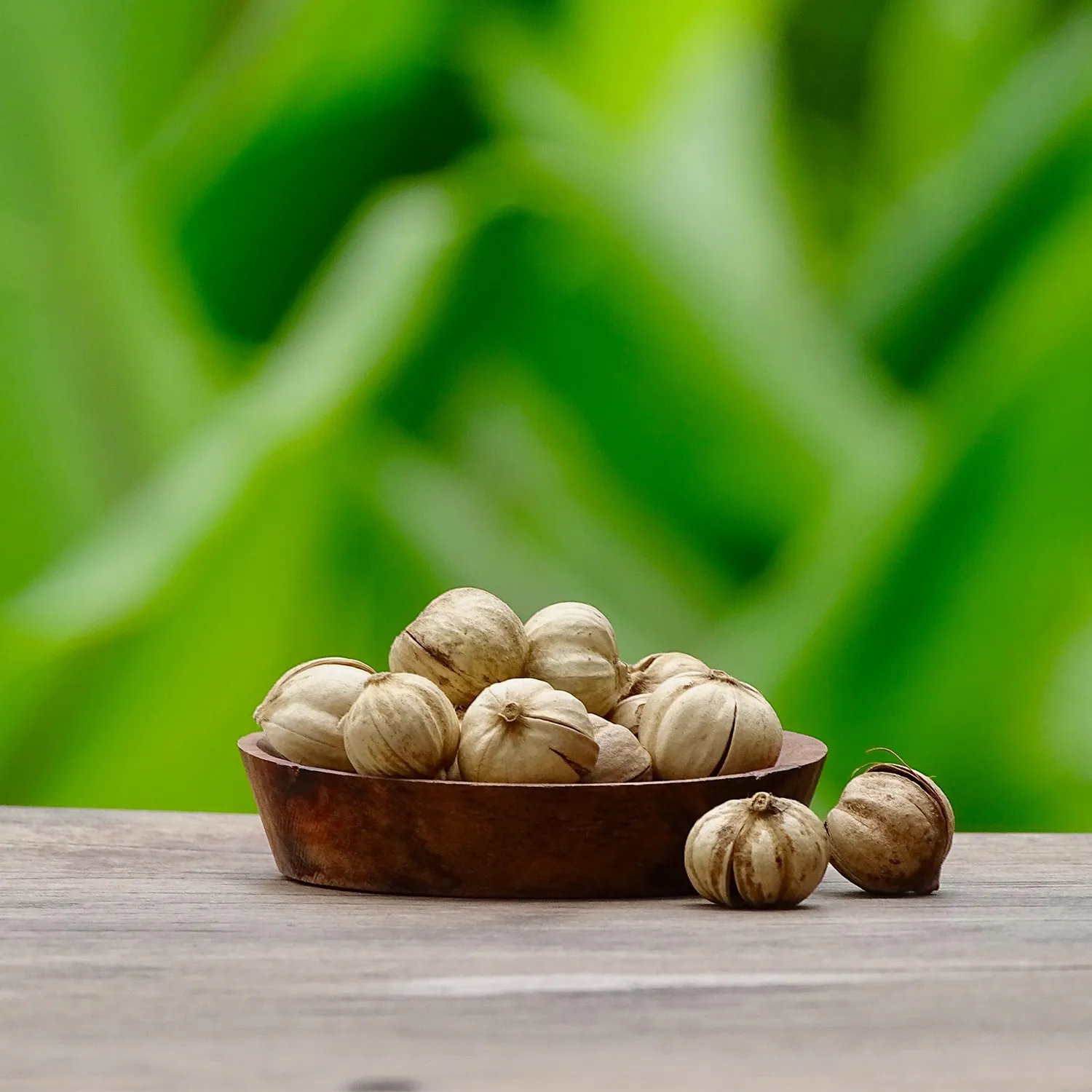 La Plantation Cardamome Sauvage épice graines entières