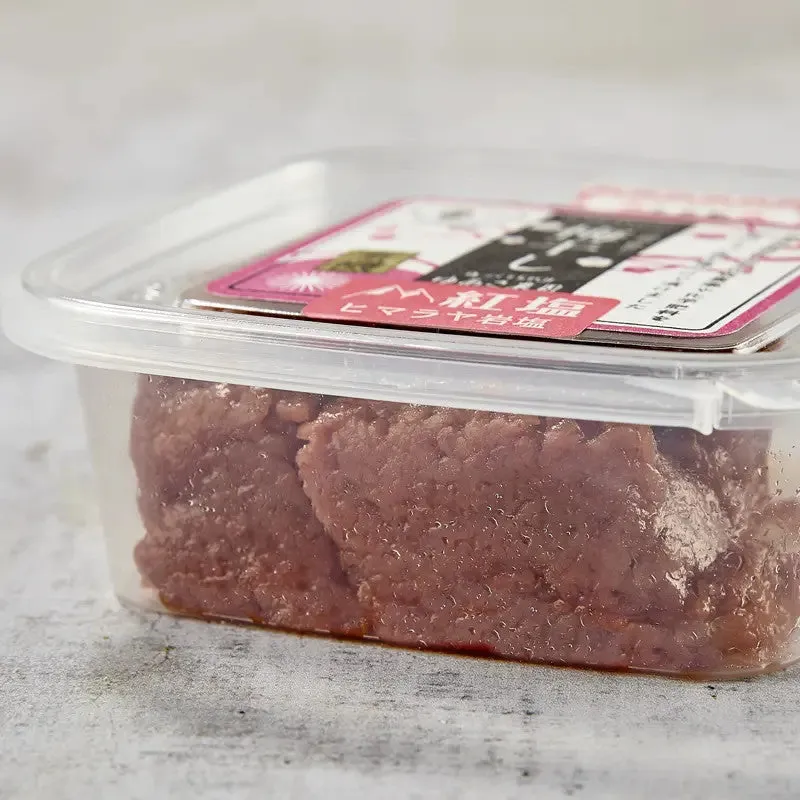 NISHIKIDORI Neriume pâte prunes umeboshi bio 120 g acidulée