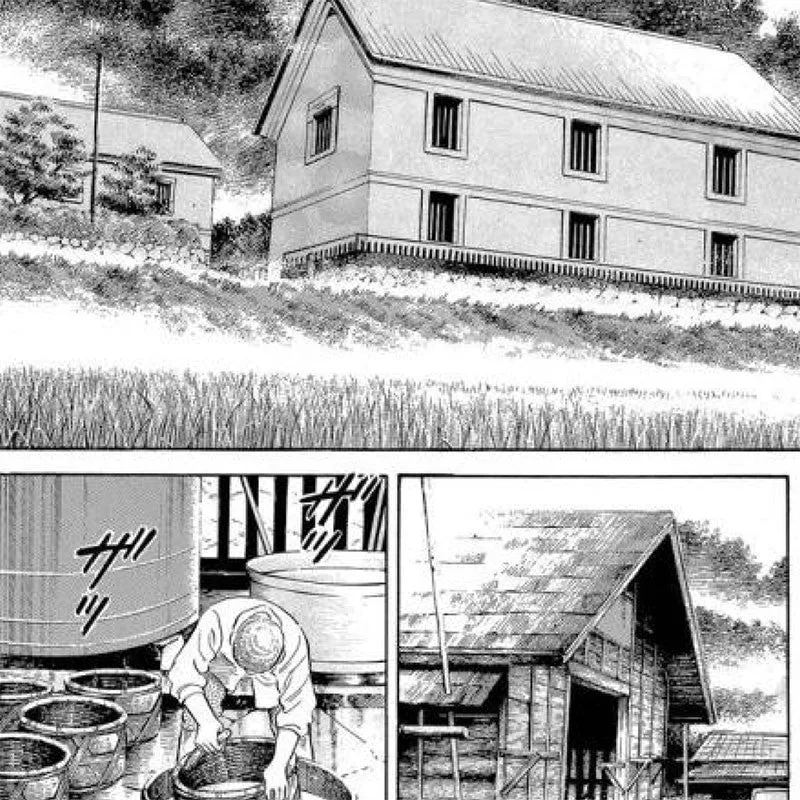 NISHIKIDORI Natsuko no Sake tome 5 manga français