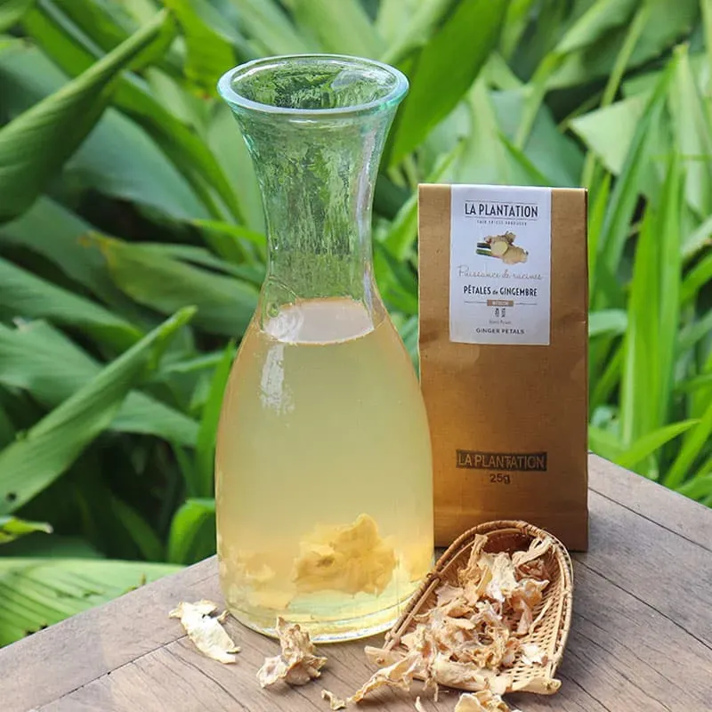 La Plantation Pétales de Gingembre tisane