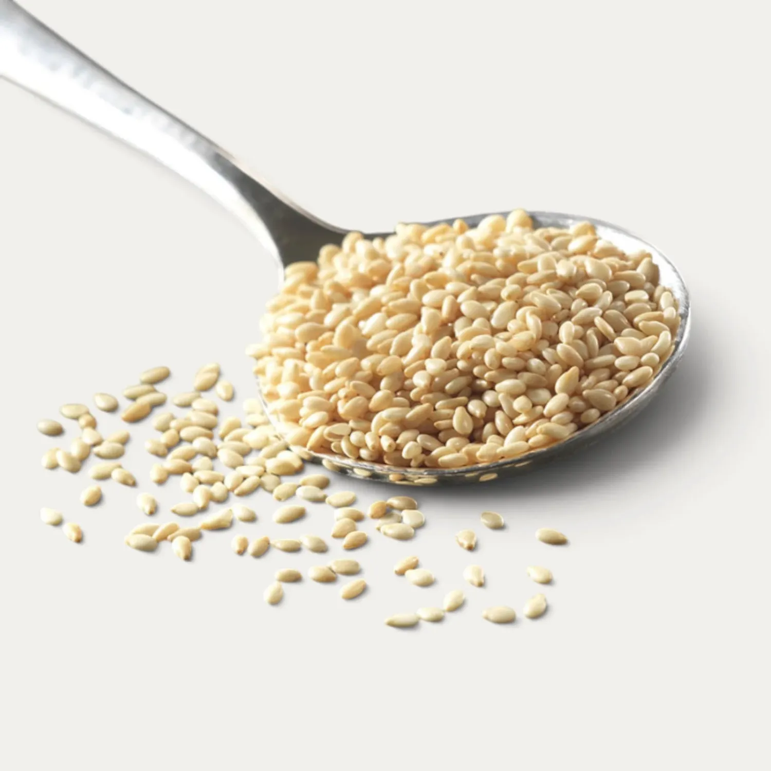 NISHIKIDORI Graines sésame blanc torréfié sachet 65g